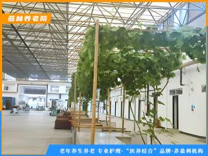 养老院环境